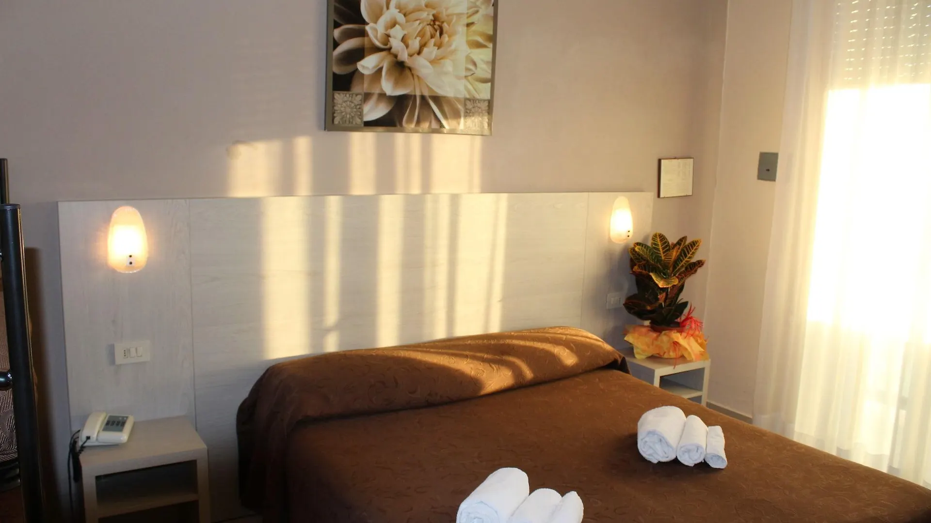 Hotel Senyor Rimini